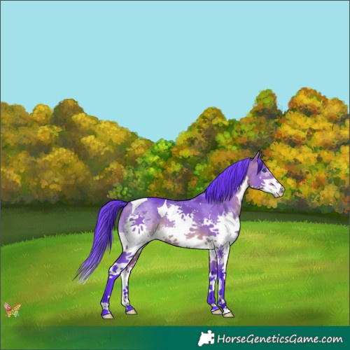 Horse Color:Watercolor Brown Dun Splash Tobiano 