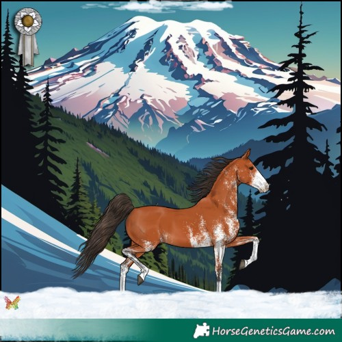 Horse Color:White Spotted Bay 