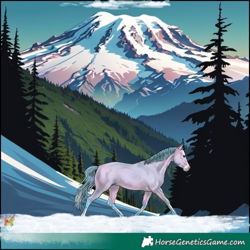 Horse Color:Watercolor White Spotted Buckskin Dun Splash 