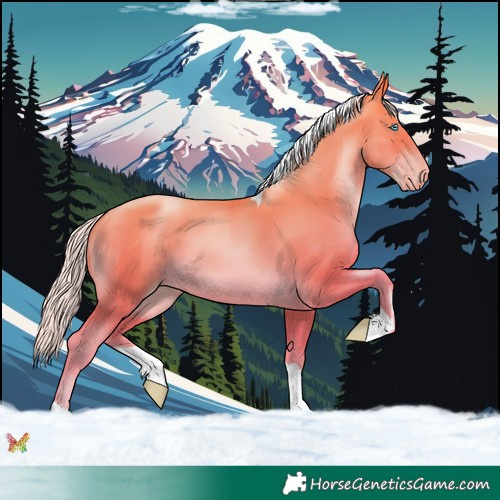 Horse Color:Silver Buckskin Pearl Tobiano 