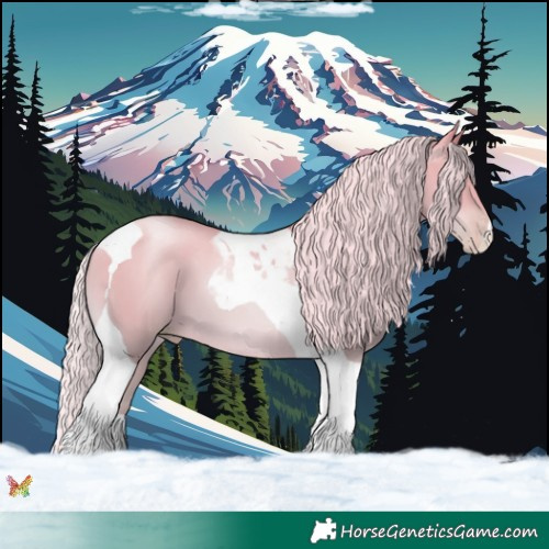 Horse Color:Silver Amber Cream Champagne Pearl Dun Tobiano 