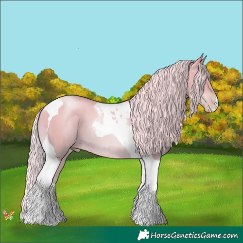 Horse Color:Silver Amber Cream Champagne Pearl Dun Tobiano 