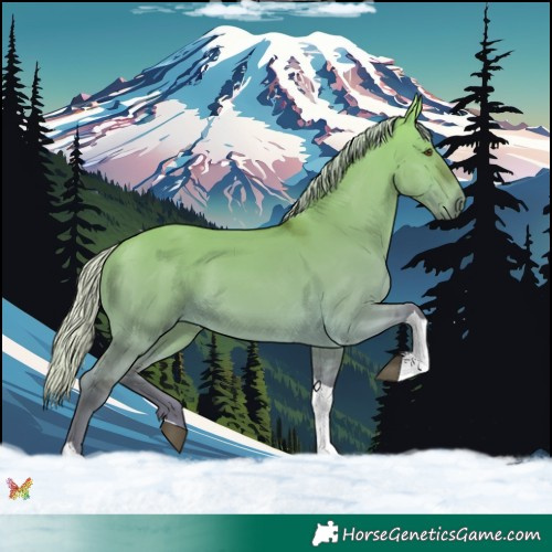 Horse Color:Silver Buckskin Dun Tobiano 