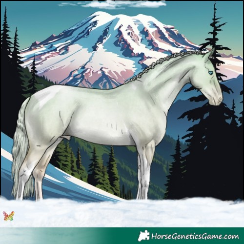 Horse Color:Palomino Roan Pearl Dun Tobiano 
