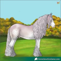 Horse Color:White Spotted Silver Buckskin Pearl Dun 