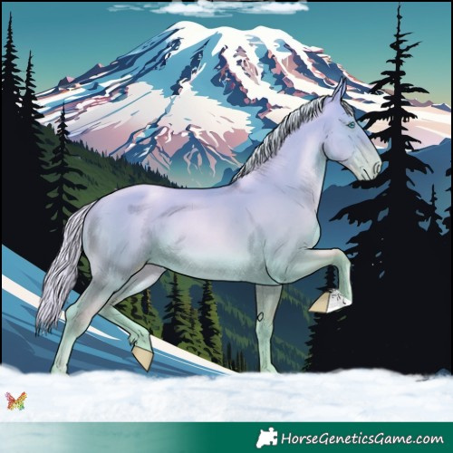 Horse Color:Silver Sable Cream Champagne Pearl Dun 