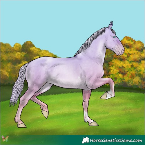 Horse Color:Gold Cream Champagne Pearl Dun Tobiano 