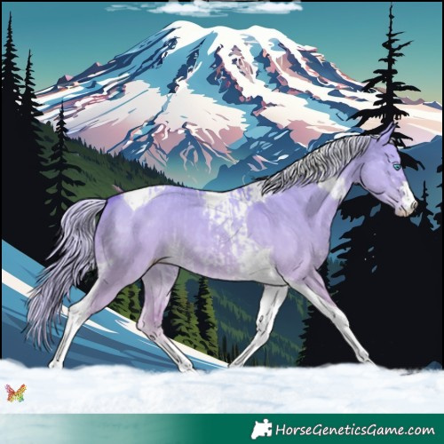 Horse Color:Cremello Dun Sabino Tobiano  and Cremello Dun Tobiano 