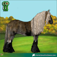 Horse Color:Void Plaid White Spotted Palomino Roan Onyx Splash