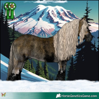 Horse Color:Void Plaid  White Spotted Palomino Roan Onyx Splash 