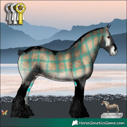 Horse Color:Void Plaid  Brown Onyx Tobiano 