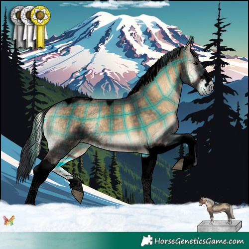 Horse Color:Void Plaid  Brown Onyx Tobiano 