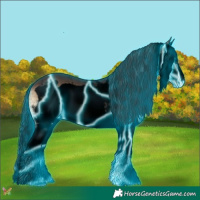 Horse Color:Void Thunderstruck White Spotted Bay Onyx Splash Frame Rabicano 