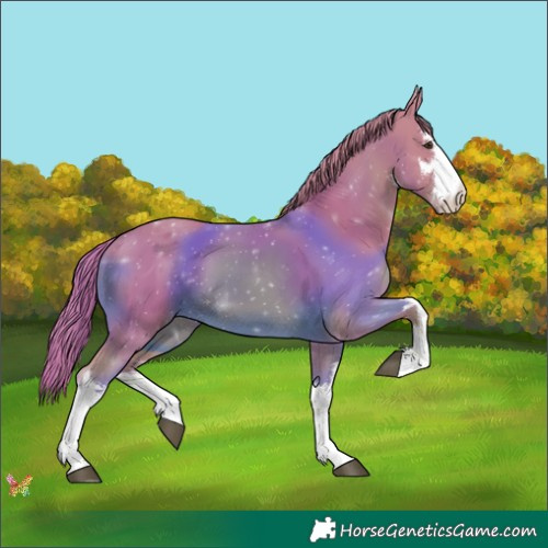 Horse Color:Watercolor White Spotted Chestnut Rabicano 