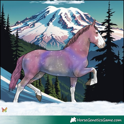 Horse Color:Watercolor White Spotted Chestnut Rabicano 
