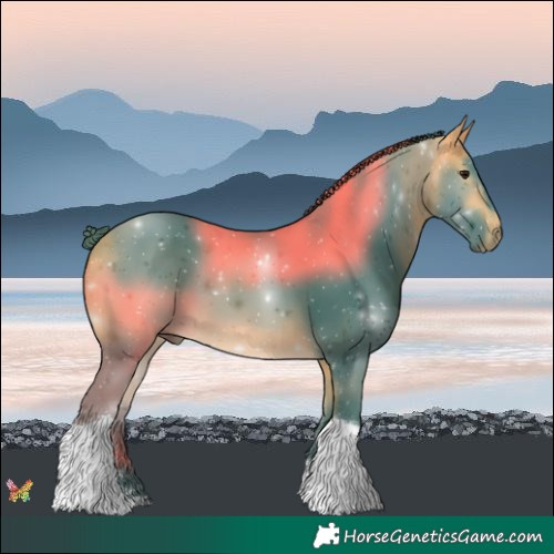 Horse Color:Watercolor Buckskin Tobiano 