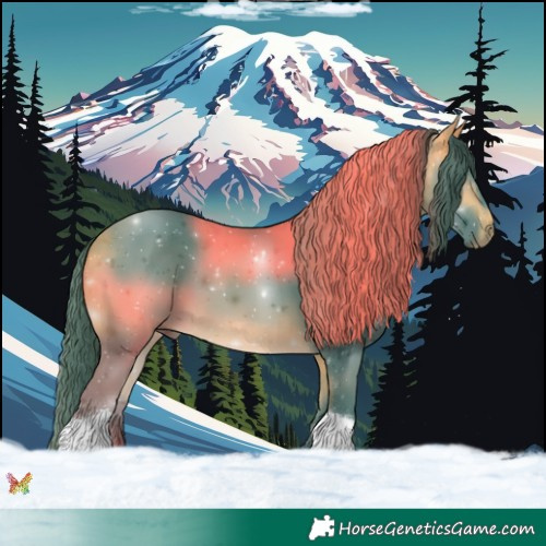 Horse Color:Watercolor Buckskin Tobiano 