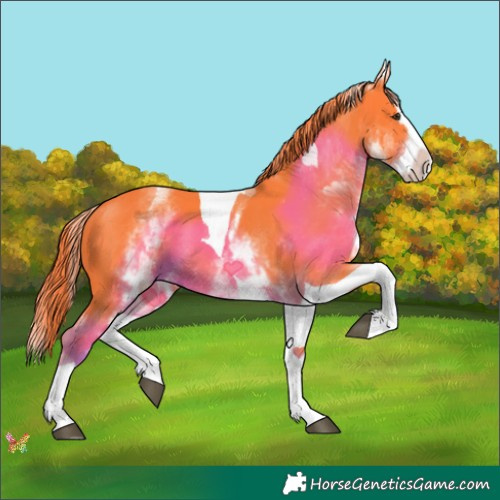 Horse Color:Watercolor White Spotted Liver Chestnut Splash Tobiano 