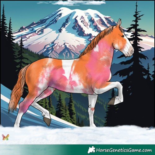 Horse Color:Watercolor White Spotted Liver Chestnut Splash Tobiano 