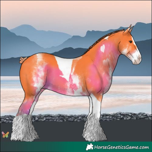 Horse Color:Watercolor White Spotted Liver Chestnut Splash Tobiano 