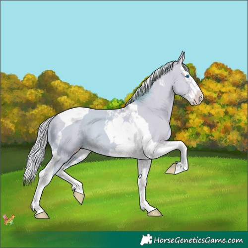 Horse Color:Watercolor Silver Classic Cream Champagne Dun Splash Tobiano 