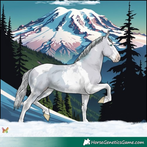 Horse Color:Watercolor Silver Classic Cream Champagne Dun Splash Tobiano 