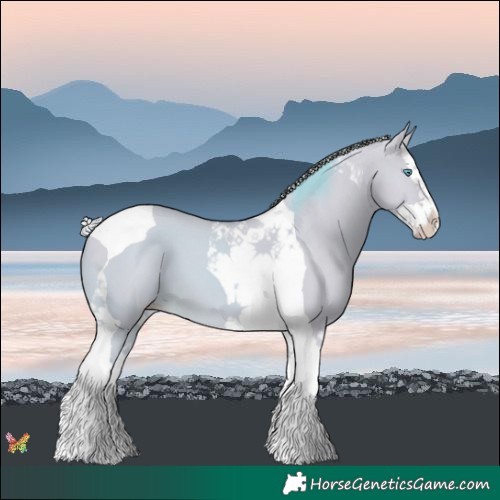 Horse Color:Watercolor Silver Classic Cream Champagne Dun Splash Tobiano 