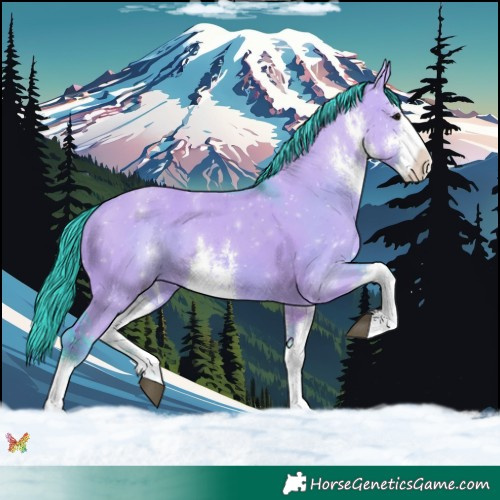 Horse Color:Watercolor White Spotted Smoky Grullo 