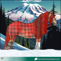 Horse Color:Plaid Buckskin Sabino Tobiano