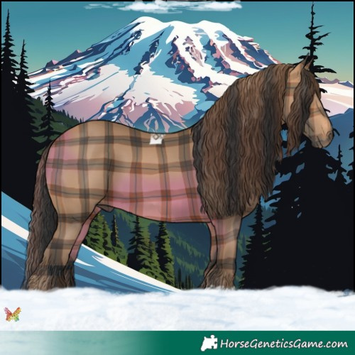 Horse Color:Plaid  Bay Tobiano 