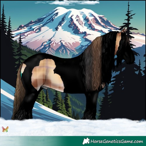 Horse Color:Void Plaid  Bay Onyx Splash Tobiano 