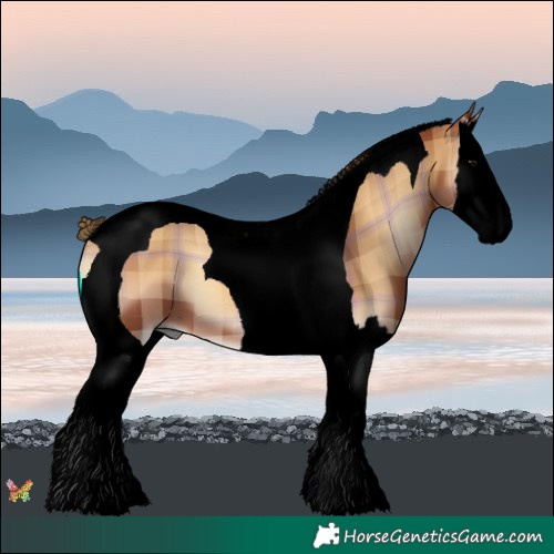 Horse Color:Void Plaid  Bay Onyx Splash Tobiano 