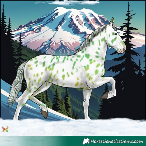 Horse Color:Watercolor Silver Brown Tobiano Appaloosa 