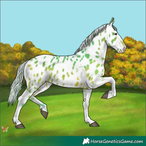 Horse Color:Watercolor Silver Brown Tobiano Appaloosa 