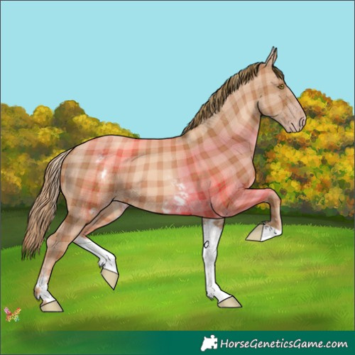 Horse Color:Plaid  White Spotted Gold Champagne 