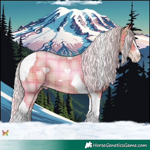 Horse Color:Plaid  Silver Classic Champagne Splash Tobiano 
