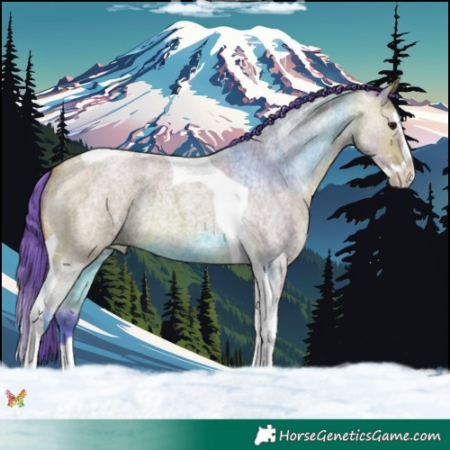Horse Color:Watercolor Bay Roan Splash Tobiano Rabicano 