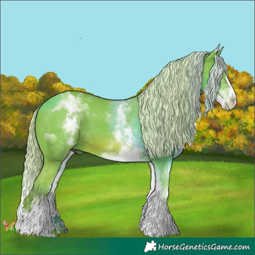 Horse Color:Watercolor White Spotted Chestnut Splash 