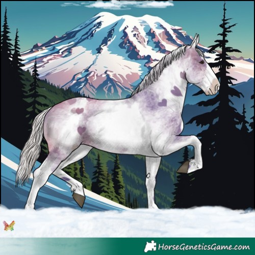 Horse Color:Watercolor White Spotted Silver Bay Splash 