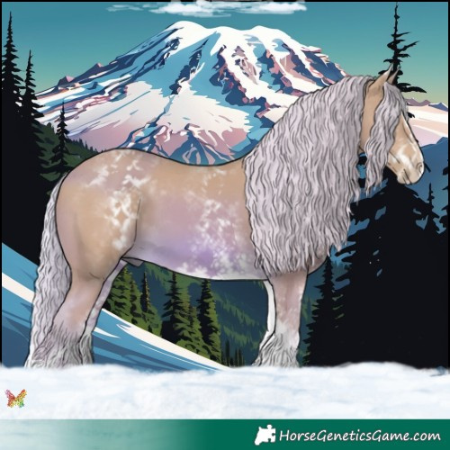 Horse Color:Watercolor White Spotted Palomino Splash 