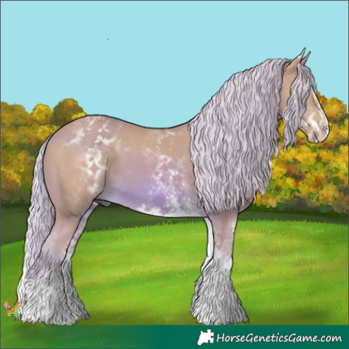 Horse Color:Watercolor White Spotted Palomino Splash 