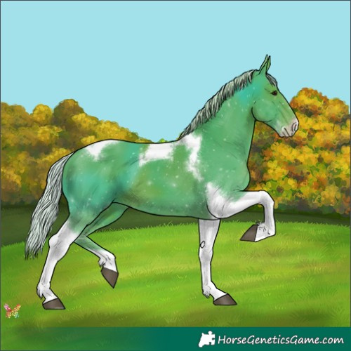 Horse Color:Watercolor Silver Black Tobiano Frame 