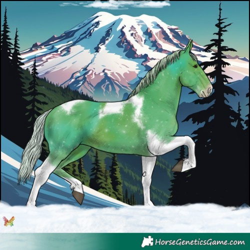 Horse Color:Watercolor Silver Black Tobiano Frame 