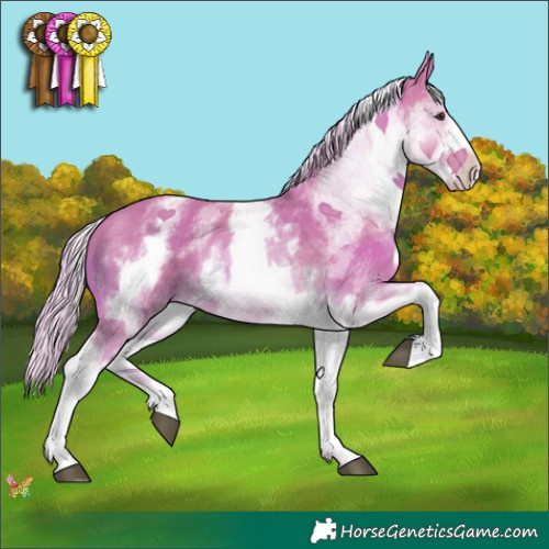 Horse Color:Watercolor White Spotted Palomino 