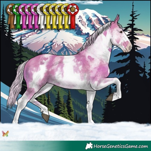 Horse Color:Watercolor White Spotted Palomino 