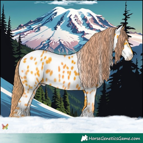 Horse Color:Watercolor White Spotted Liver Chestnut Appaloosa 