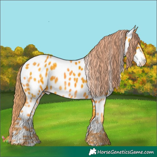 Horse Color:Watercolor White Spotted Liver Chestnut Appaloosa 