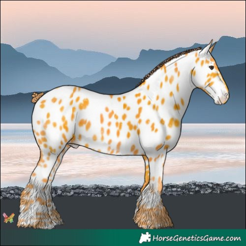 Horse Color:Watercolor White Spotted Liver Chestnut Near Leopard 