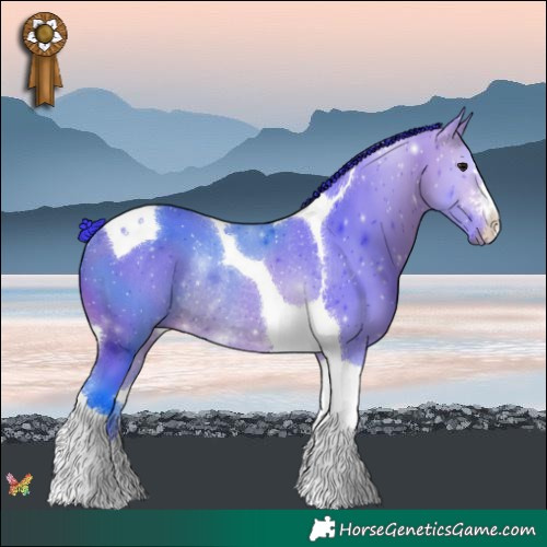 Horse Color:Watercolor Bay Tobiano Rabicano 