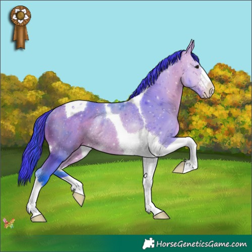 Horse Color:Watercolor Bay Tobiano Rabicano 